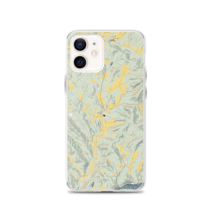 Custom iPhone 12 Andes New York Map Phone Case in Woodblock