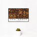 12x18 Ann Arbor Michigan Map Print Landscape Orientation in Ember Style With Small Cactus Plant in White Planter