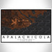 Apalachicola Florida Map Print Landscape Orientation in Ember Style With Shaded Background