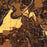 Arlington Washington Map Print in Ember Style Zoomed In Close Up Showing Details