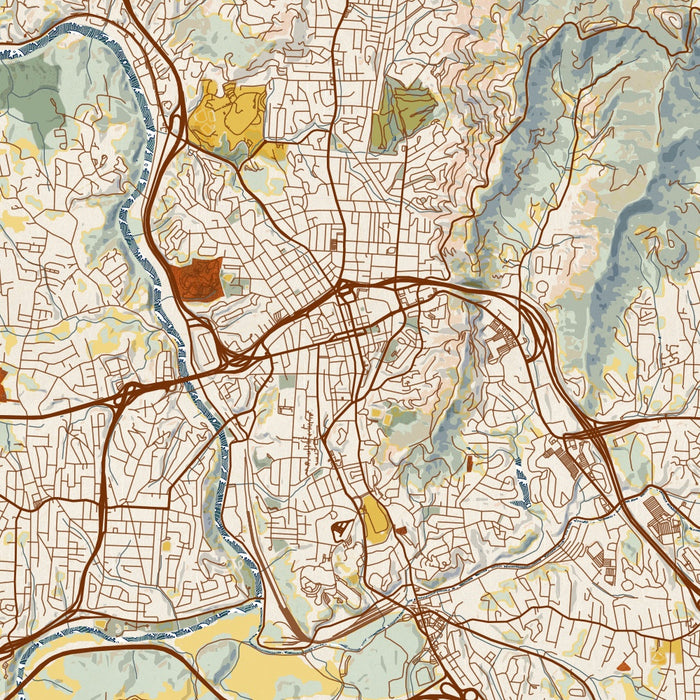 Asheville North Carolina Map Print in Woodblock Style Zoomed In Close Up Showing Details