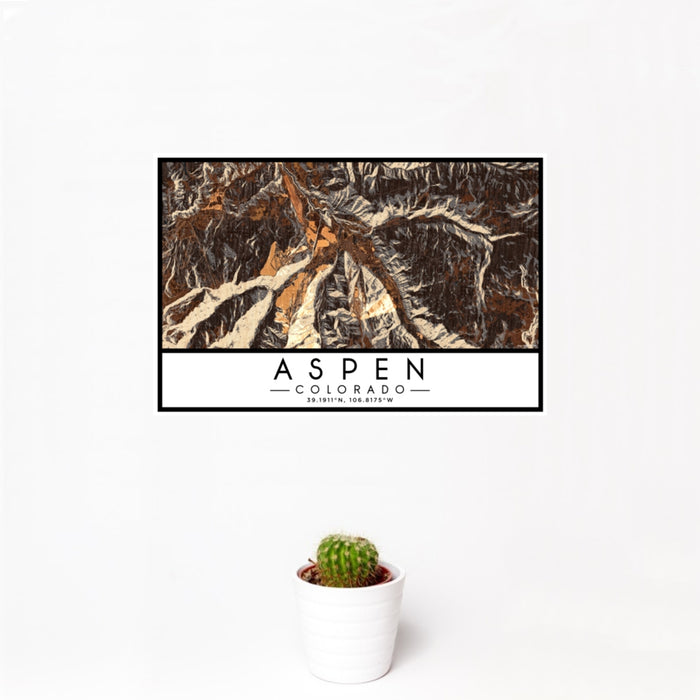 12x18 Aspen Colorado Map Print Landscape Orientation in Ember Style With Small Cactus Plant in White Planter