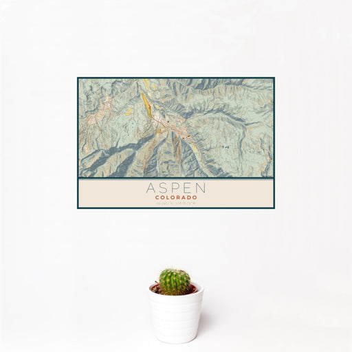 12x18 Aspen Colorado Map Print Landscape Orientation in Woodblock Style With Small Cactus Plant in White Planter