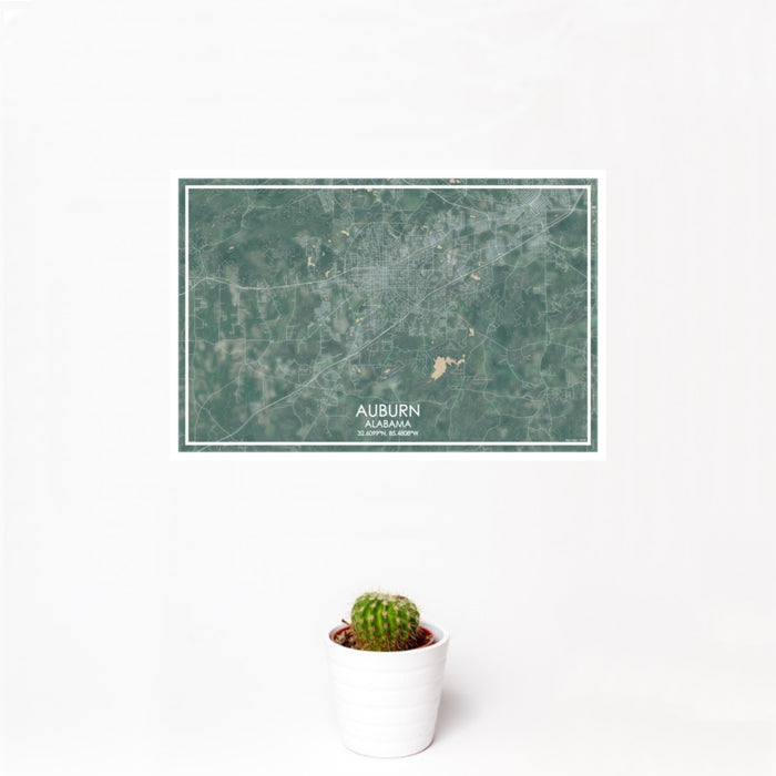 12x18 Auburn Alabama Map Print Landscape Orientation in Afternoon Style With Small Cactus Plant in White Planter