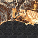 Avila Beach California Map Print in Ember Style Zoomed In Close Up Showing Details
