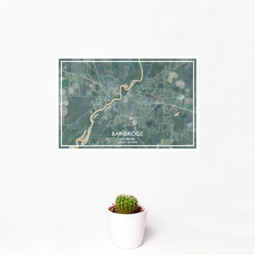 12x18 Bainbridge Georgia Map Print Landscape Orientation in Afternoon Style With Small Cactus Plant in White Planter