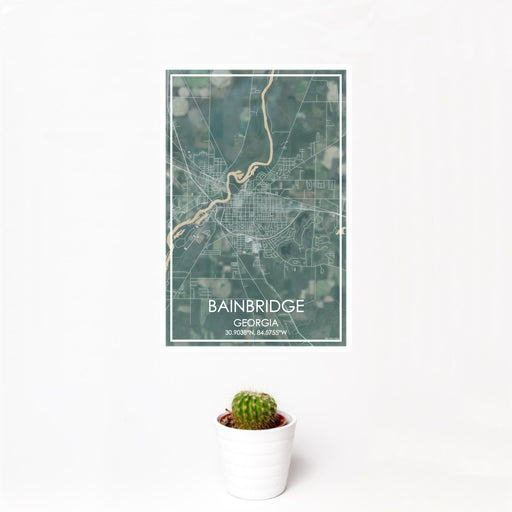 12x18 Bainbridge Georgia Map Print Portrait Orientation in Afternoon Style With Small Cactus Plant in White Planter
