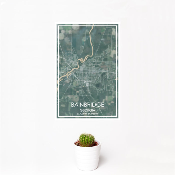 12x18 Bainbridge Georgia Map Print Portrait Orientation in Afternoon Style With Small Cactus Plant in White Planter
