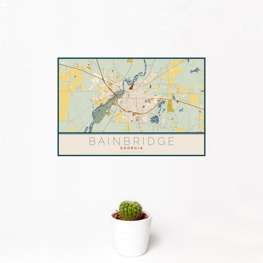 12x18 Bainbridge Georgia Map Print Landscape Orientation in Woodblock Style With Small Cactus Plant in White Planter