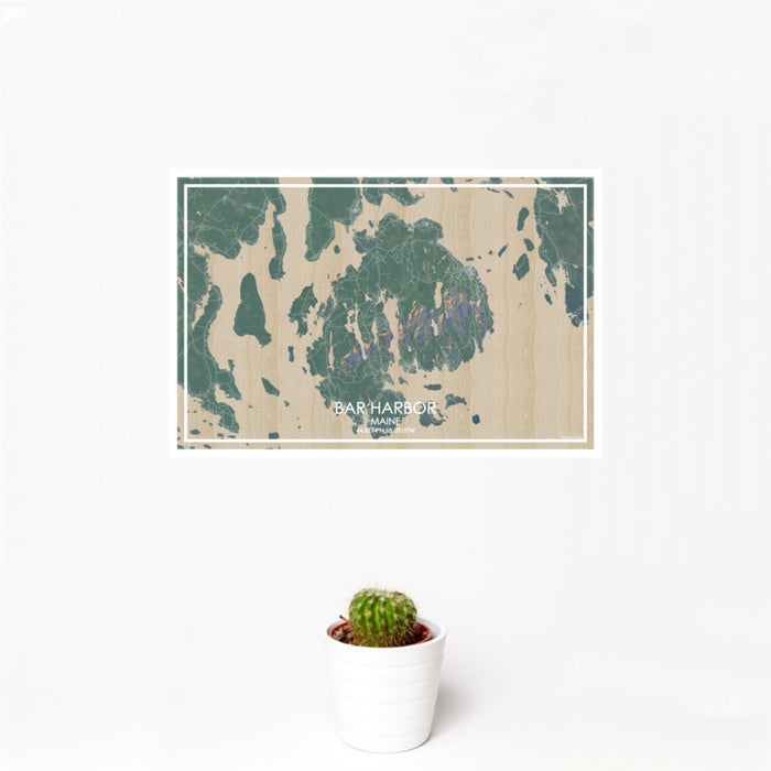 12x18 Bar Harbor Maine Map Print Landscape Orientation in Afternoon Style With Small Cactus Plant in White Planter