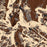 Beartooth Mountains Montana Map Print in Ember Style Zoomed In Close Up Showing Details
