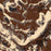 Beartooth Pass Montana Map Print in Ember Style Zoomed In Close Up Showing Details