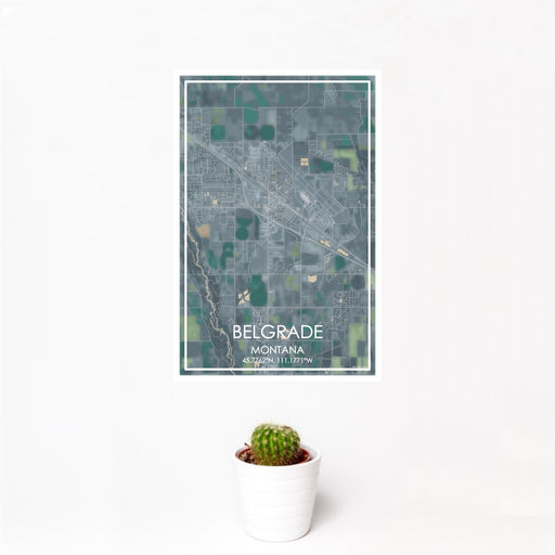 12x18 Belgrade Montana Map Print Portrait Orientation in Afternoon Style With Small Cactus Plant in White Planter