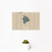 12x18 Big Island Hawaii Map Print Landscape Orientation in Afternoon Style With Small Cactus Plant in White Planter