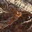 Big Sky Montana Map Print in Ember Style Zoomed In Close Up Showing Details
