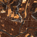 Binghamton New York Map Print in Ember Style Zoomed In Close Up Showing Details