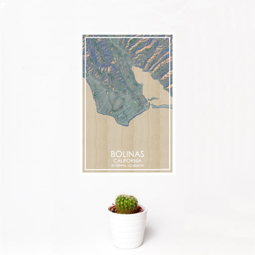 12x18 Bolinas California Map Print Portrait Orientation in Afternoon Style With Small Cactus Plant in White Planter