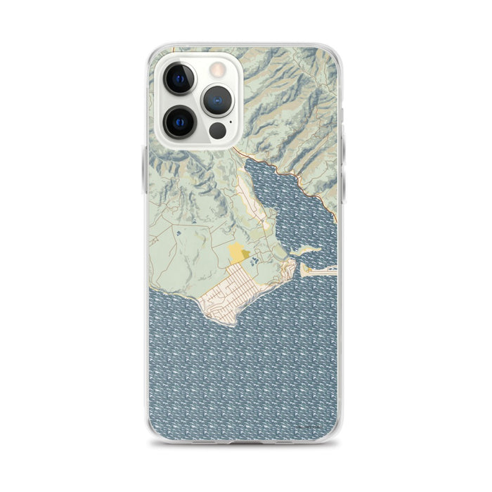 Custom iPhone 12 Pro Max Bolinas California Map Phone Case in Woodblock