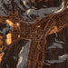 Bradford Pennsylvania Map Print in Ember Style Zoomed In Close Up Showing Details