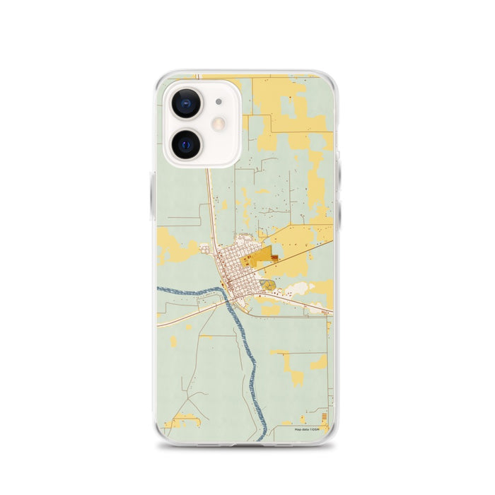 Custom iPhone 12 Branford Florida Map Phone Case in Woodblock