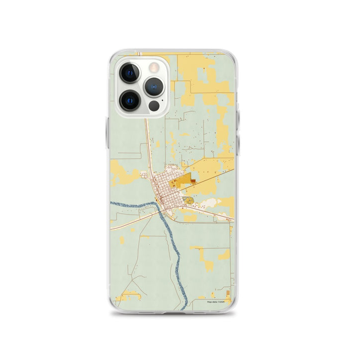 Custom iPhone 12 Pro Branford Florida Map Phone Case in Woodblock