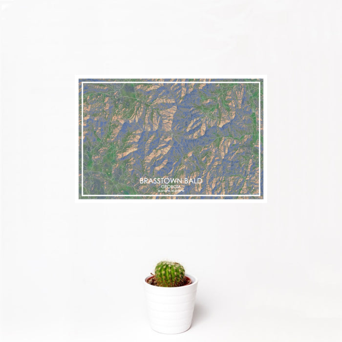 12x18 Brasstown Bald Georgia Map Print Landscape Orientation in Afternoon Style With Small Cactus Plant in White Planter