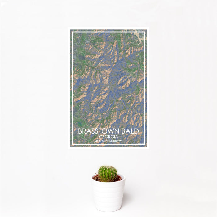 12x18 Brasstown Bald Georgia Map Print Portrait Orientation in Afternoon Style With Small Cactus Plant in White Planter
