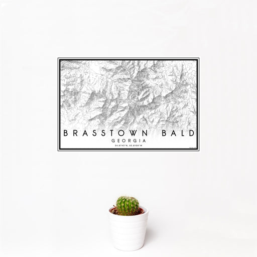 12x18 Brasstown Bald Georgia Map Print Landscape Orientation in Classic Style With Small Cactus Plant in White Planter