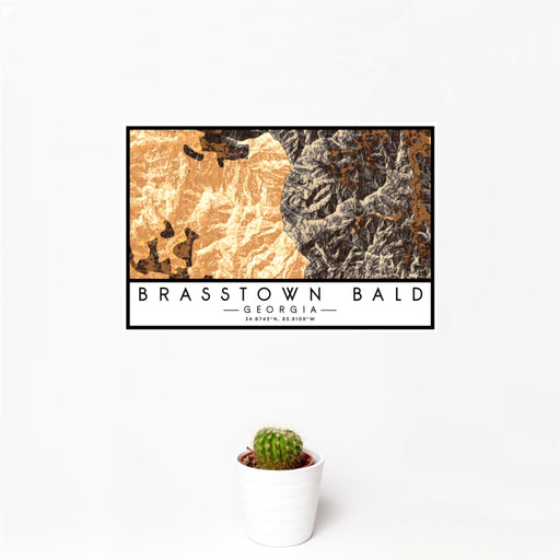 12x18 Brasstown Bald Georgia Map Print Landscape Orientation in Ember Style With Small Cactus Plant in White Planter