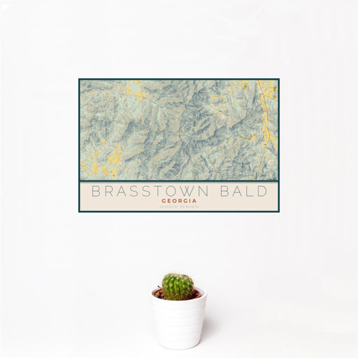12x18 Brasstown Bald Georgia Map Print Landscape Orientation in Woodblock Style With Small Cactus Plant in White Planter