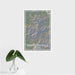 16x24 Brasstown Bald Georgia Map Print Portrait Orientation in Afternoon Style With Tropical Plant Leaves in Water