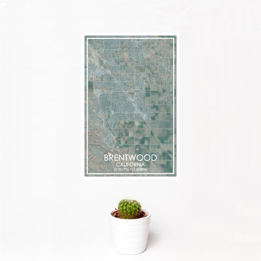 12x18 Brentwood California Map Print Portrait Orientation in Afternoon Style With Small Cactus Plant in White Planter