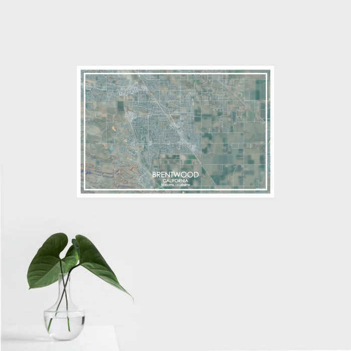 16x24 Brentwood California Map Print Landscape Orientation in Afternoon Style With Tropical Plant Leaves in Water