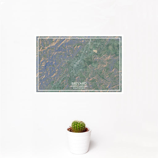 12x18 Brevard North Carolina Map Print Landscape Orientation in Afternoon Style With Small Cactus Plant in White Planter