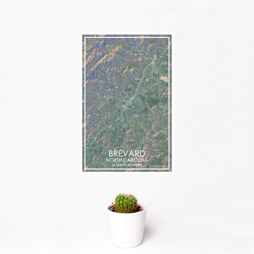 12x18 Brevard North Carolina Map Print Portrait Orientation in Afternoon Style With Small Cactus Plant in White Planter