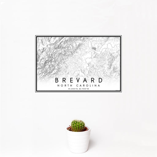 12x18 Brevard North Carolina Map Print Landscape Orientation in Classic Style With Small Cactus Plant in White Planter