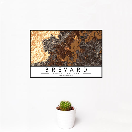 12x18 Brevard North Carolina Map Print Landscape Orientation in Ember Style With Small Cactus Plant in White Planter