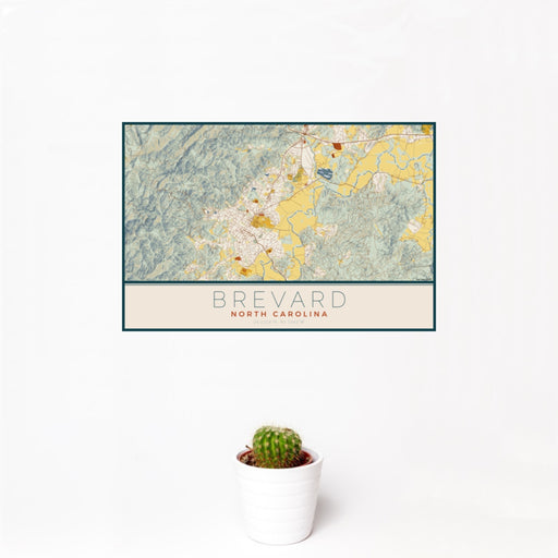 12x18 Brevard North Carolina Map Print Landscape Orientation in Woodblock Style With Small Cactus Plant in White Planter