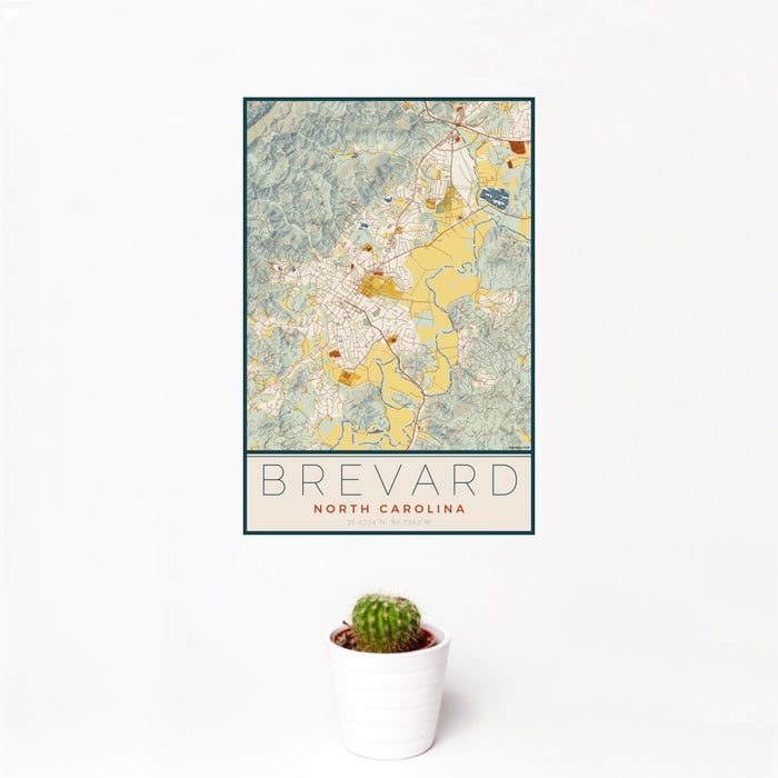 12x18 Brevard North Carolina Map Print Portrait Orientation in Woodblock Style With Small Cactus Plant in White Planter