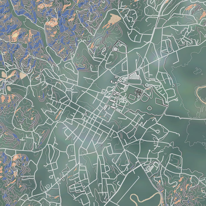 Brevard North Carolina Map Print in Afternoon Style Zoomed In Close Up Showing Details