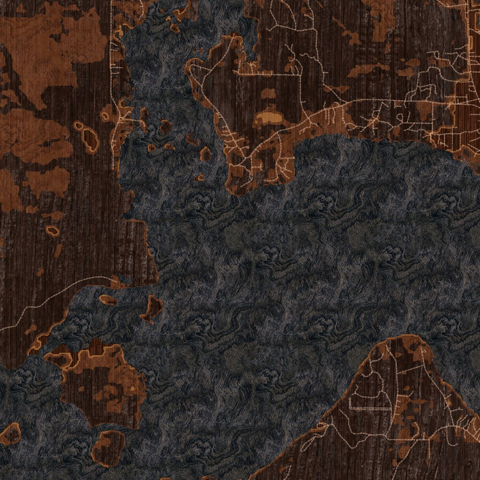 Caddo lake Louisiana Map Print in Ember Style Zoomed In Close Up Showing Details