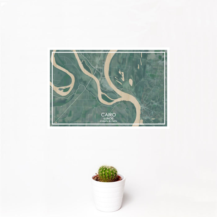12x18 Cairo Illinois Map Print Landscape Orientation in Afternoon Style With Small Cactus Plant in White Planter
