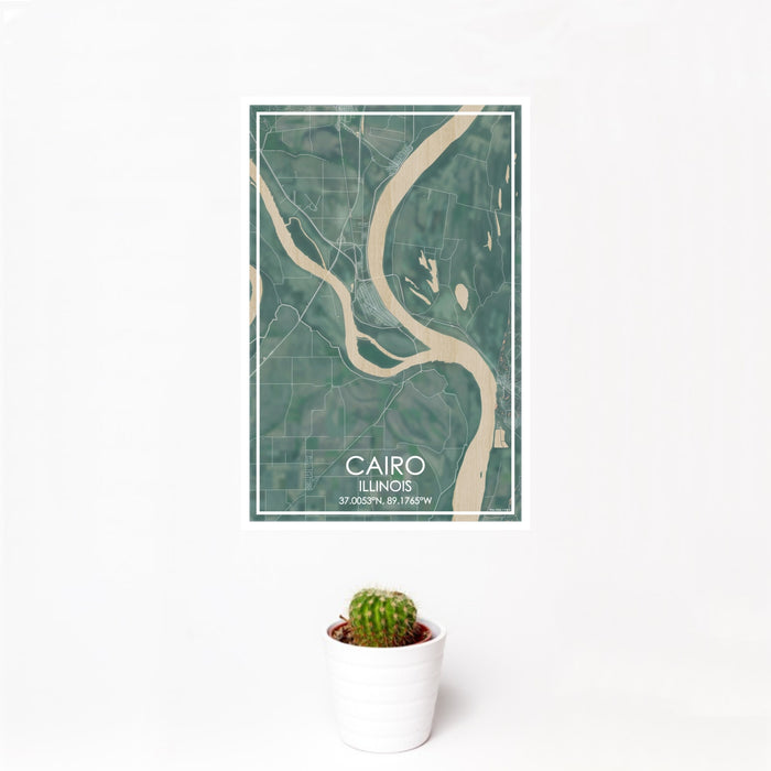 12x18 Cairo Illinois Map Print Portrait Orientation in Afternoon Style With Small Cactus Plant in White Planter