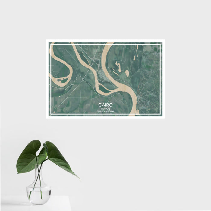 16x24 Cairo Illinois Map Print Landscape Orientation in Afternoon Style With Tropical Plant Leaves in Water
