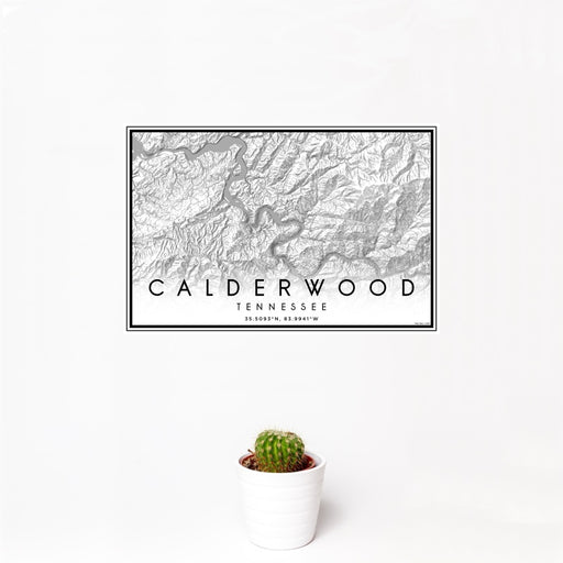 12x18 Calderwood Tennessee Map Print Landscape Orientation in Classic Style With Small Cactus Plant in White Planter