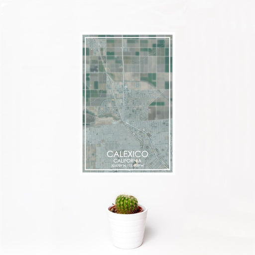 12x18 Calexico California Map Print Portrait Orientation in Afternoon Style With Small Cactus Plant in White Planter