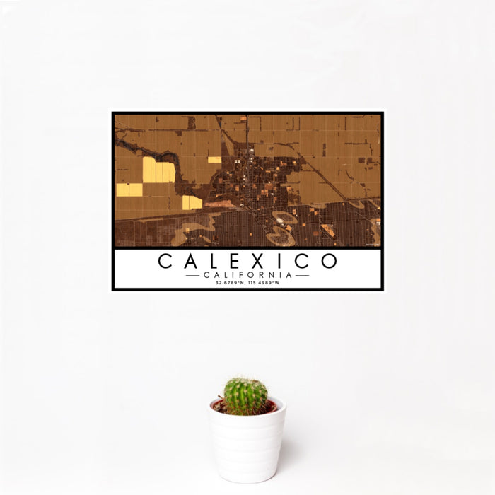 12x18 Calexico California Map Print Landscape Orientation in Ember Style With Small Cactus Plant in White Planter