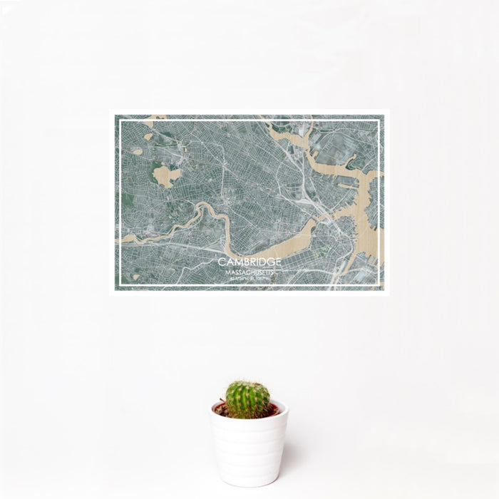12x18 Cambridge Massachusetts Map Print Landscape Orientation in Afternoon Style With Small Cactus Plant in White Planter