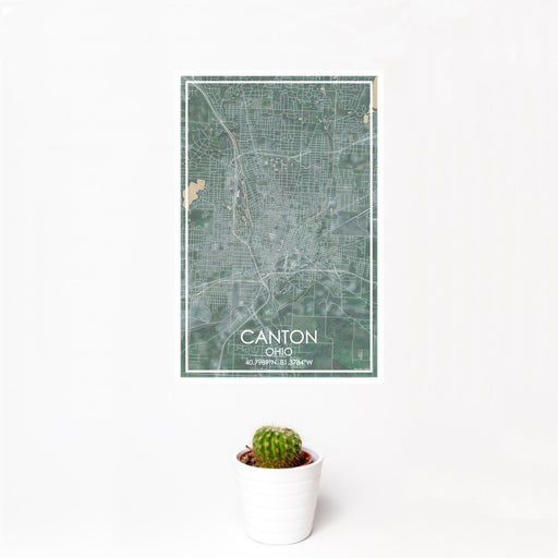 12x18 Canton Ohio Map Print Portrait Orientation in Afternoon Style With Small Cactus Plant in White Planter