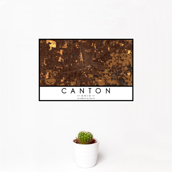 12x18 Canton Ohio Map Print Landscape Orientation in Ember Style With Small Cactus Plant in White Planter